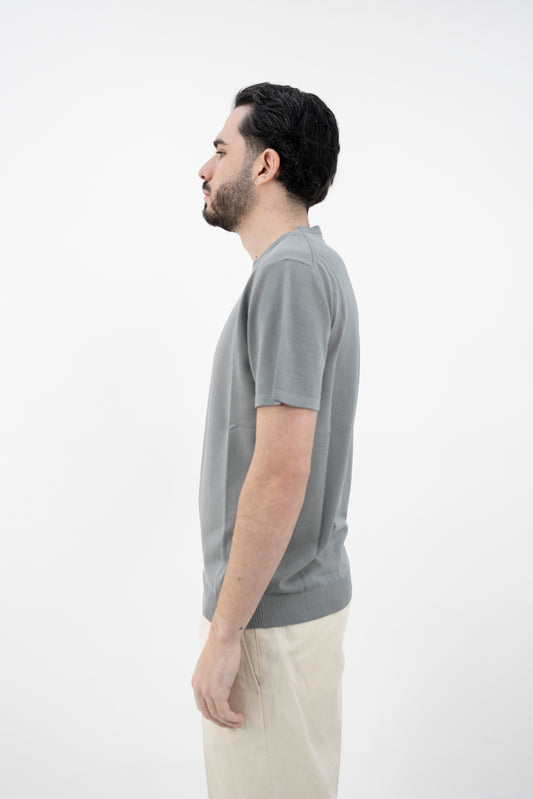 T-SHIRT DRY COTTON TORTORA DF0307 38 DANIELE FIESOLI